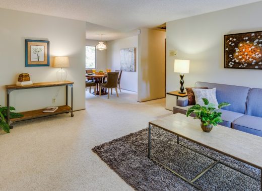 Modern Family Room Decor Items