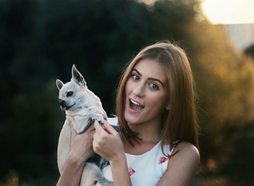 Pets And Your Mental Health