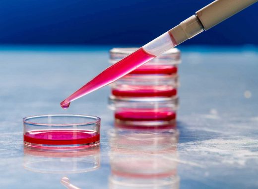 Types Of Cell Culture Media