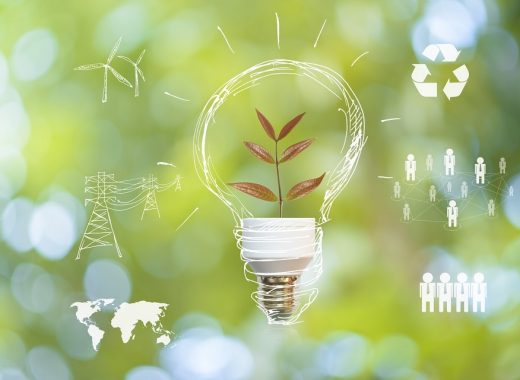 Reduce The Carbon Footprint Of Your Business