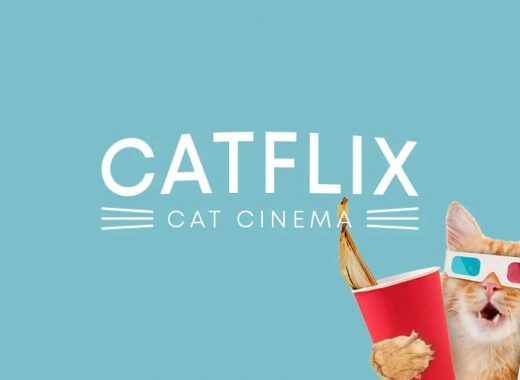 Catflix
