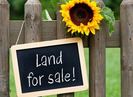 How The Land-Buying Process Works