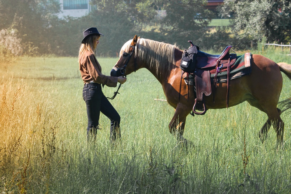 Horse Ranch Insurance
