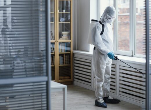 Top Four Signs Your Bristol Home Has A Pest Problem