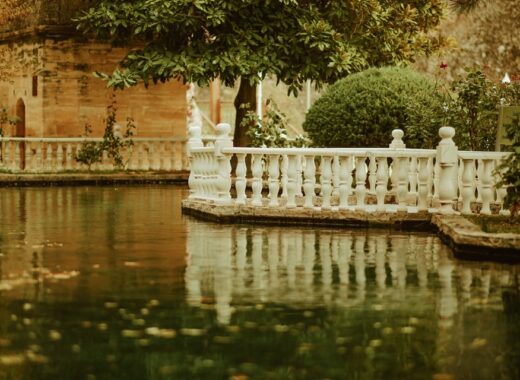 Pond Maintenance Solutions For Homeowners