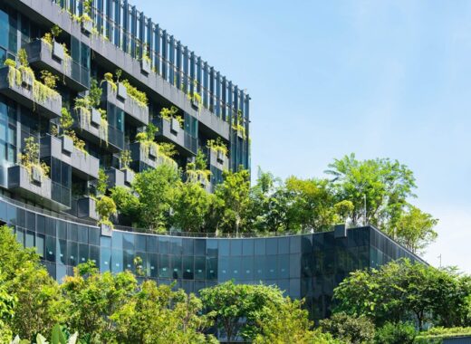 Investing In Eco-Friendly Amenities