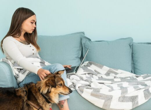 Choosing The Perfect Pet Bed