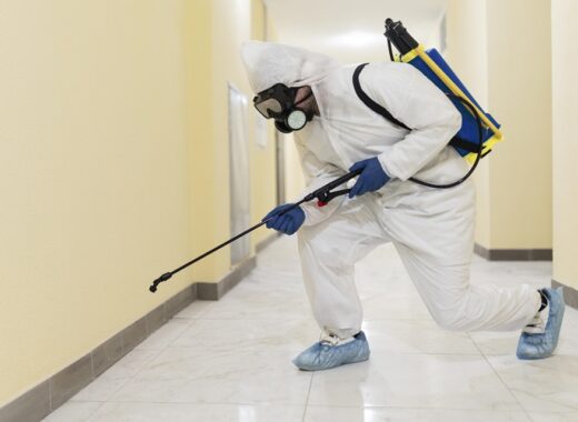 Pest Control In Fort Worth Can Improve Your Quality Of Life