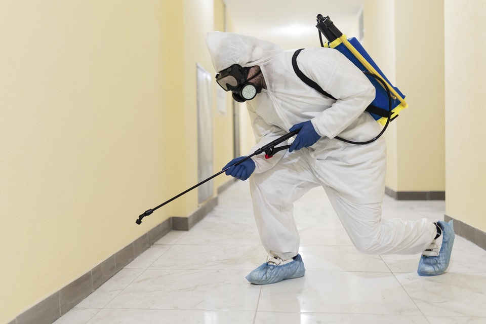 Pest Control In Fort Worth Can Improve Your Quality Of Life