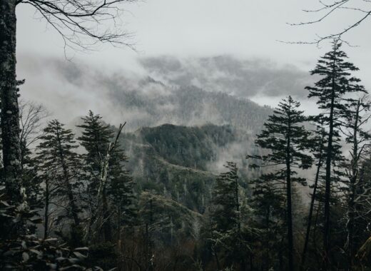 Enjoyable Mountain Vacation