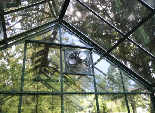 Exhaust Fan In Your Greenhouse