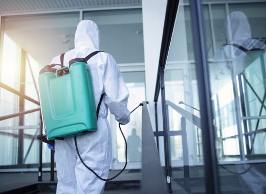 Provo's Choice For Pest Management