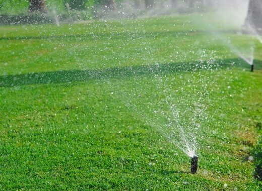 Sprinkler System Essentials For A Healthy Lawn