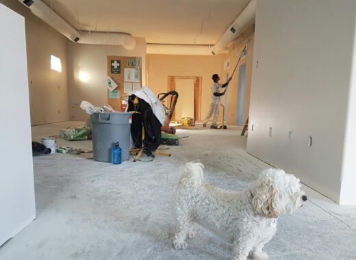 What To Do After Home Renovations