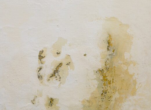 Water Damage At Home