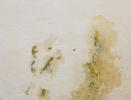 Water Damage At Home