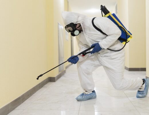 Advanced Detection Tools For Effective Rodent Removal