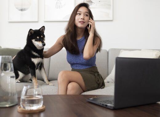 Common Pet Emergencies Every Owner Should Know