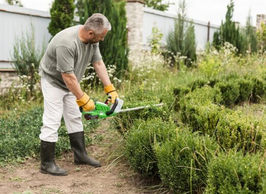 Lawn Bed Maintenance