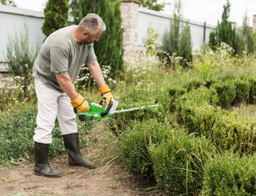 Lawn Bed Maintenance