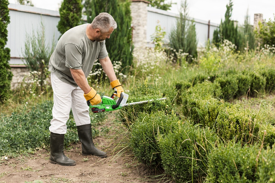Lawn Bed Maintenance