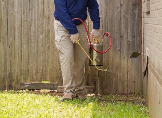Pest Control For Homeowners