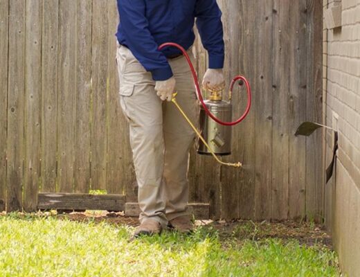 Pest Control For Homeowners