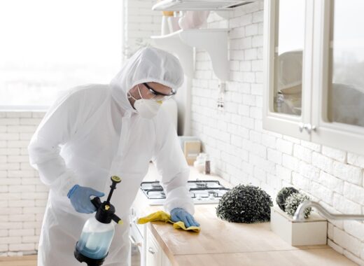 Home And Workplace Pest Prevention Plan