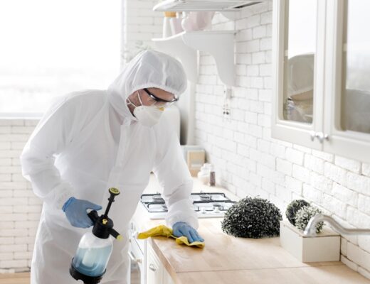 Home And Workplace Pest Prevention Plan