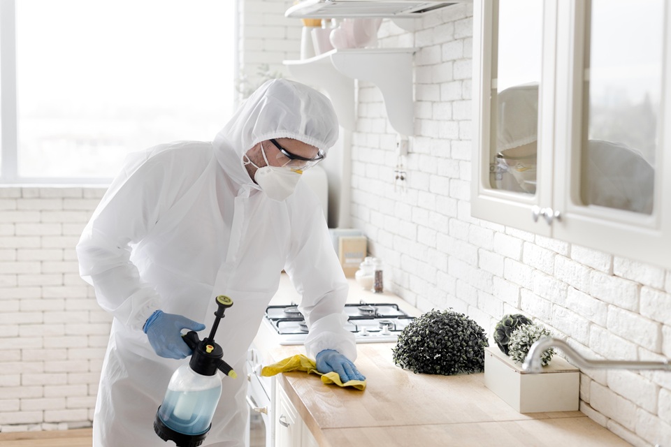Home And Workplace Pest Prevention Plan
